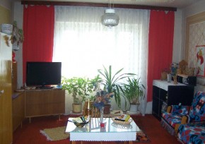 1+1Renneska